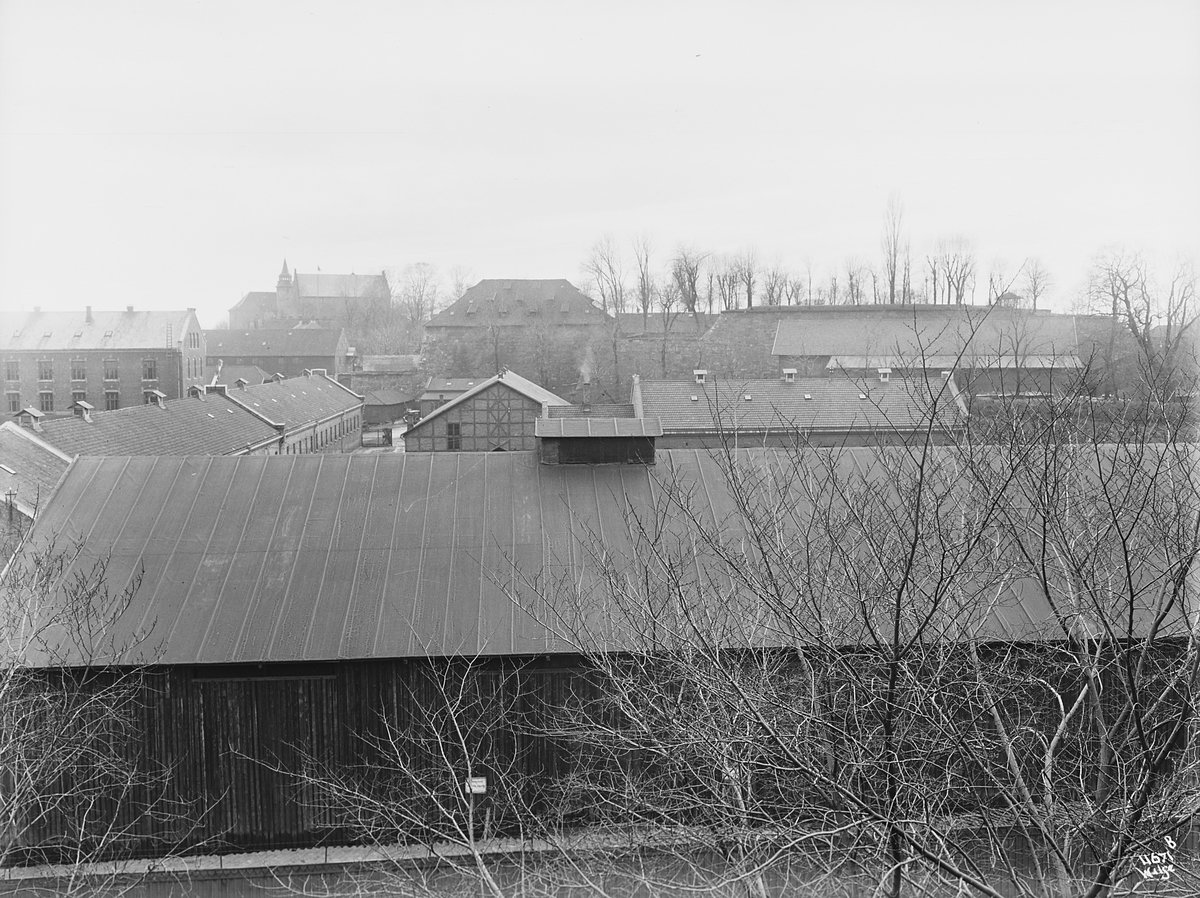 Anders Beer Wilse, Prot: Fjelstad svær sjø