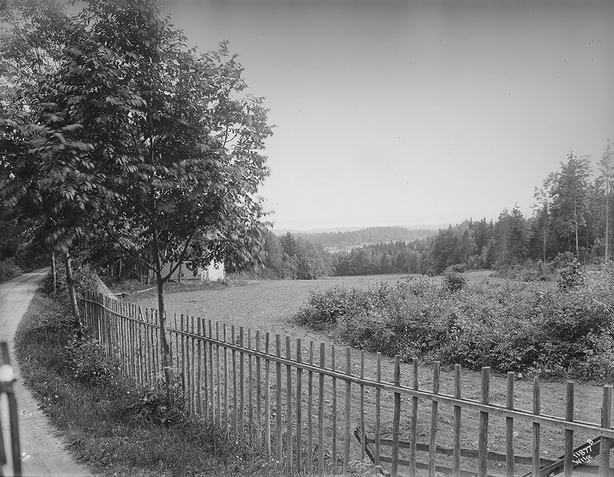 Anders Beer Wilse, Konv: Ungdomsforbundet