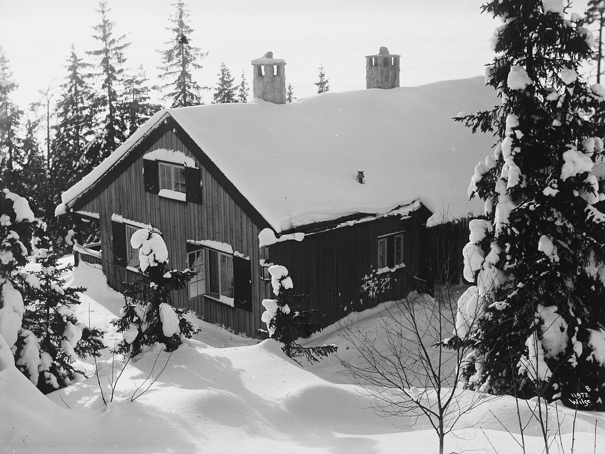 Anders Beer Wilse, Konv: Sundts villa