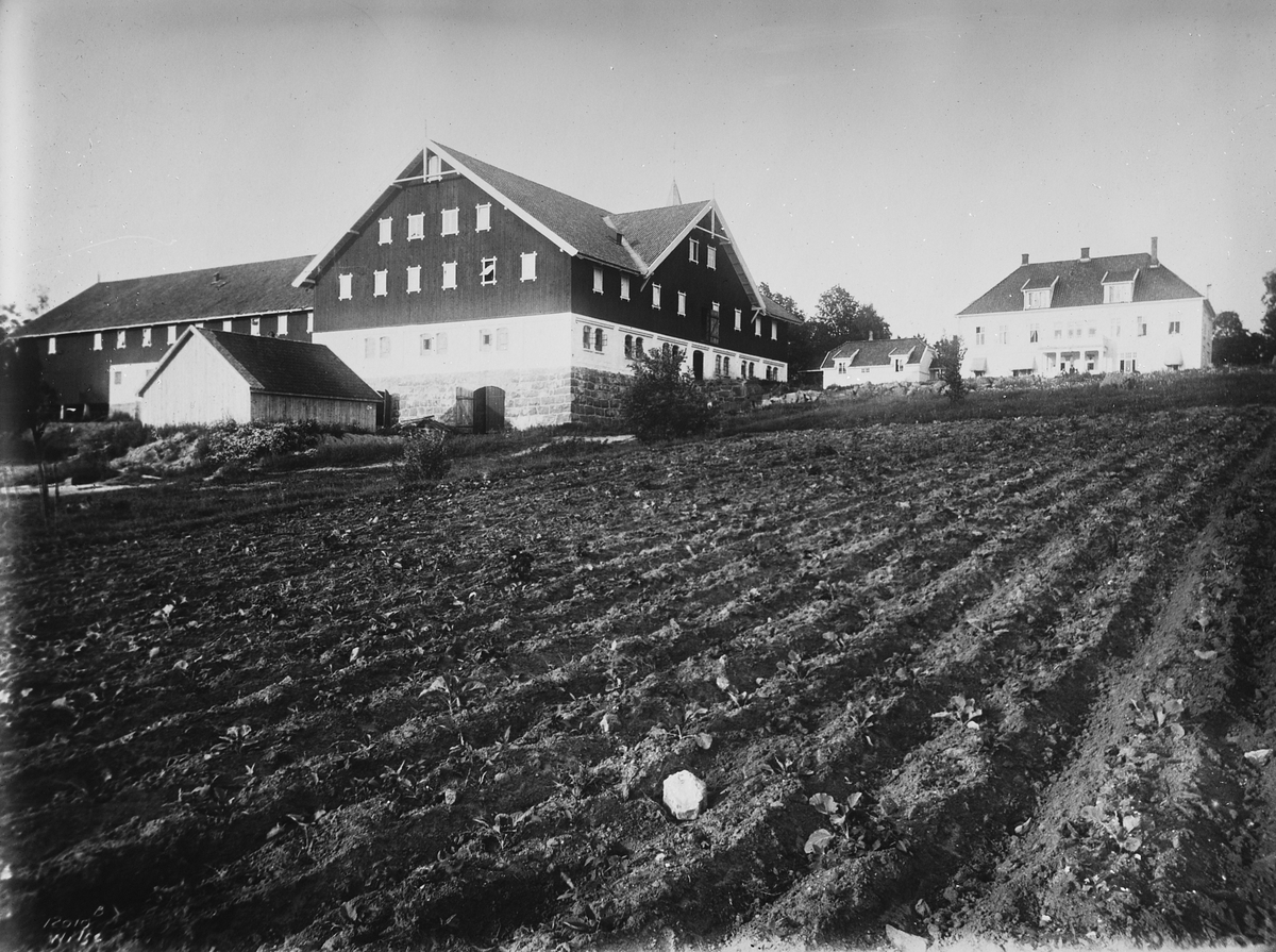 Anders Beer Wilse, Konv: Eyde/Sande hovedgaard og udhus