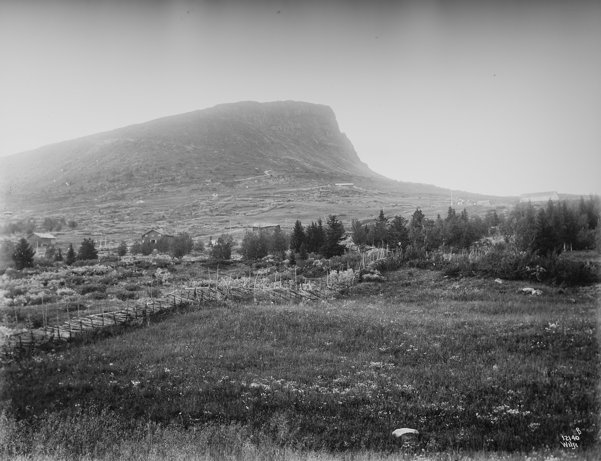 Anders Beer Wilse, Konv: Wulfsberg/sæteren med skeidkampen