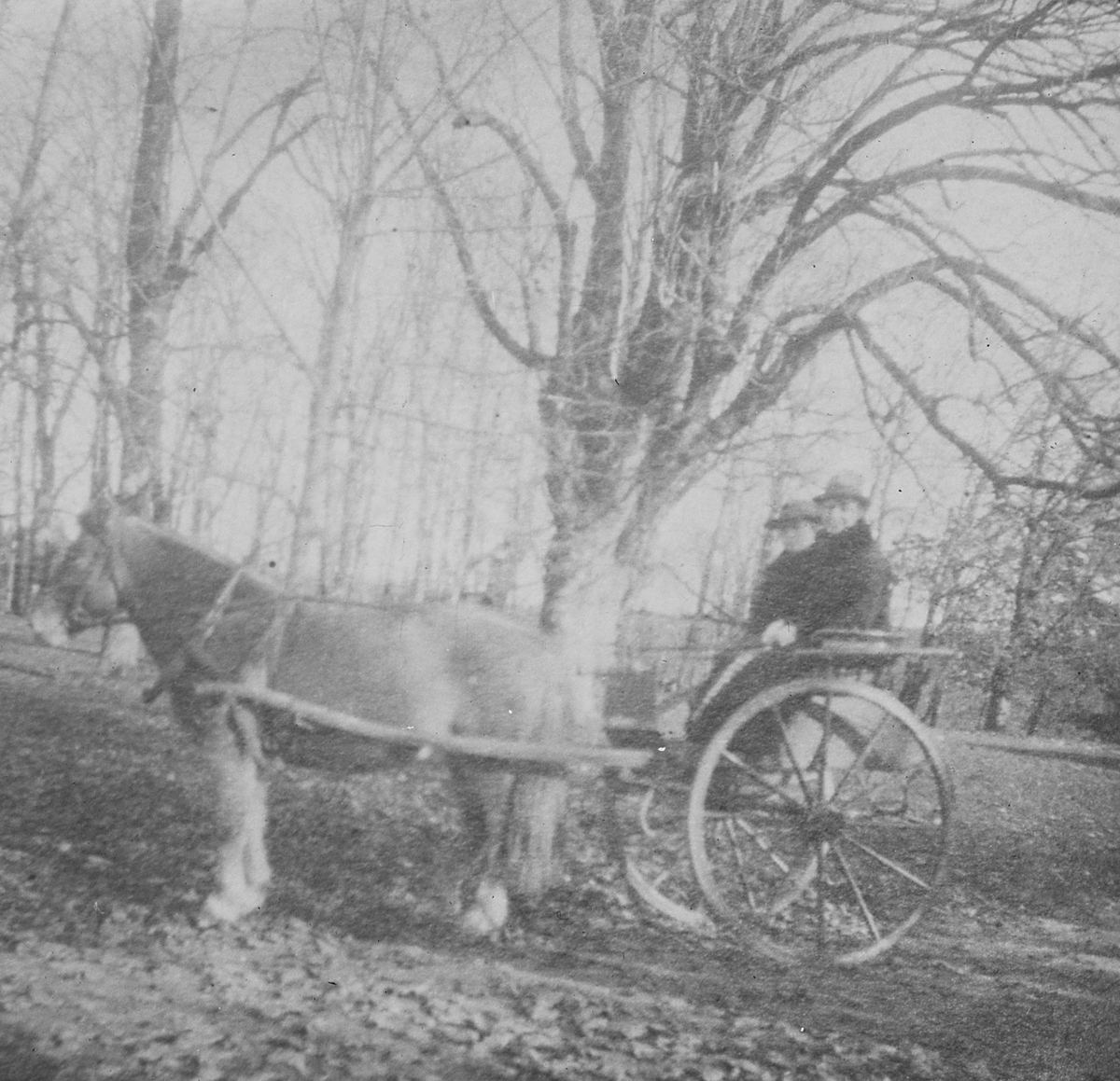 Anders Beer Wilse, Prot: Hansen Hilmar