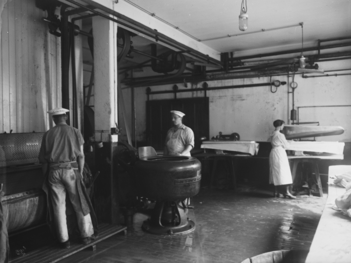 Anders Beer Wilse, Prot: Pellerin arbeidere