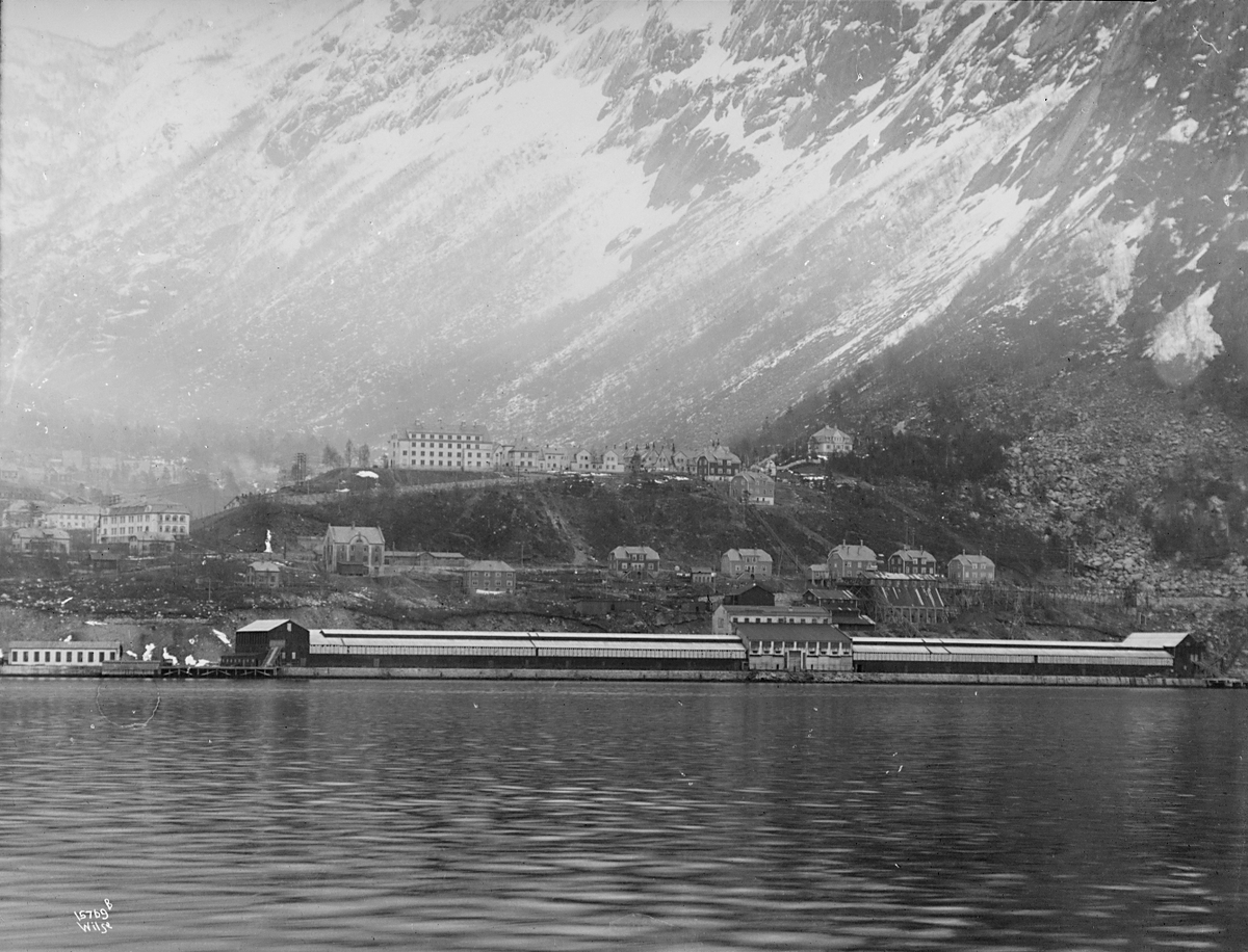 Anders Beer Wilse, Konv: Nitriten fra fjorden