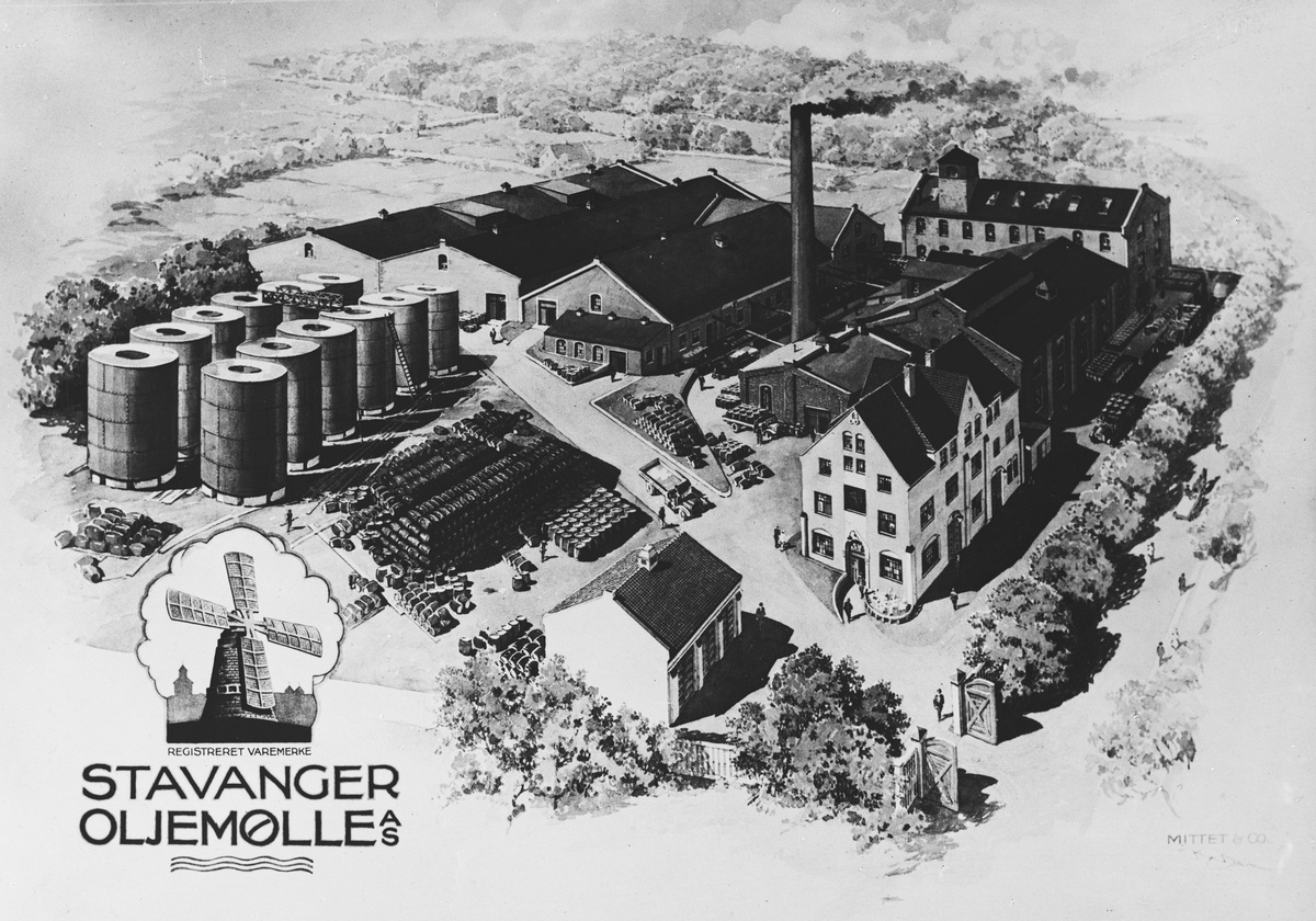 Anders Beer Wilse, Prot: Stavanger oljemølle A/S