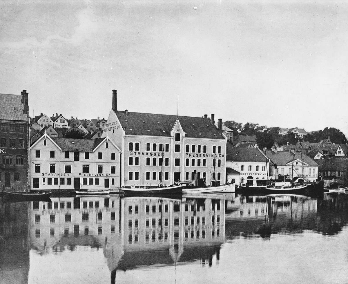 Anders Beer Wilse, Konv: Stavanger preserving co