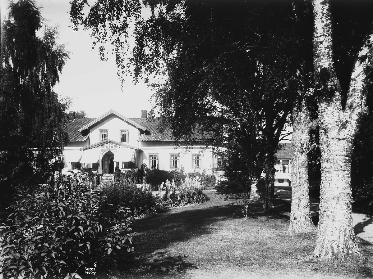 Anders Beer Wilse, Prot: Gjøsegaarden