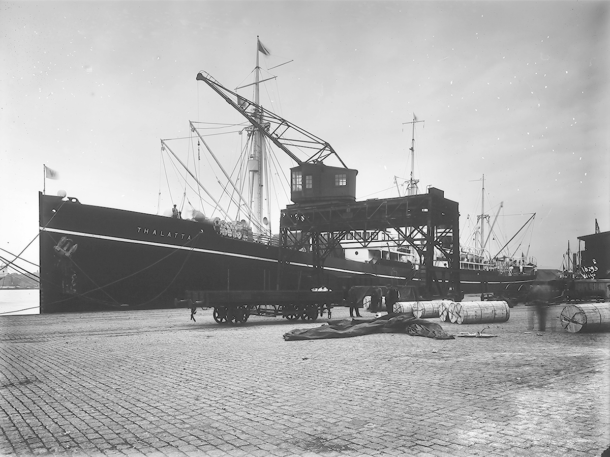 Anders Beer Wilse, Prot: Thalatta D.S. Wilhelmsen
