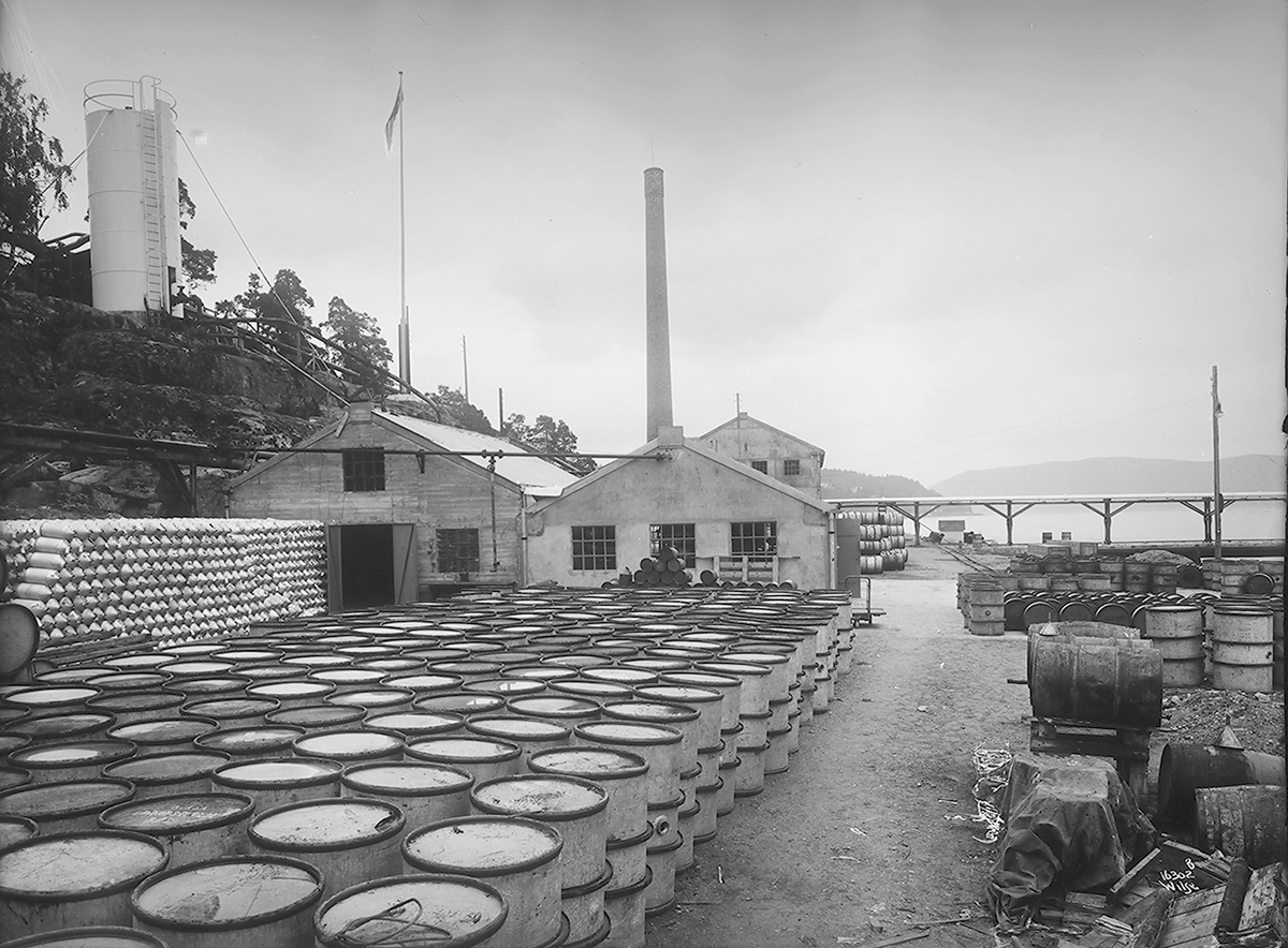 Anders Beer Wilse, Prot: Norsk Brændselolje