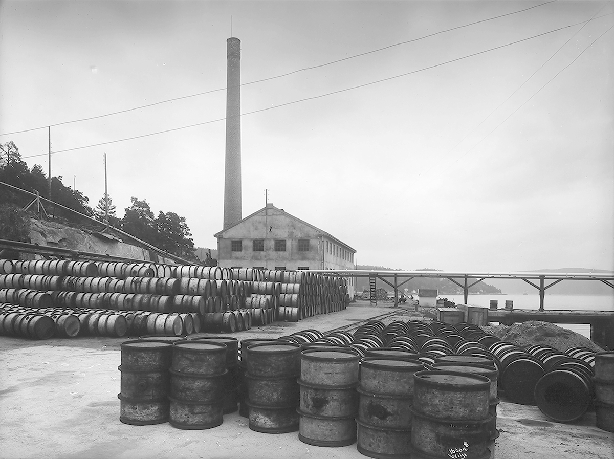 Anders Beer Wilse, Prot: Norsk Brændselolje