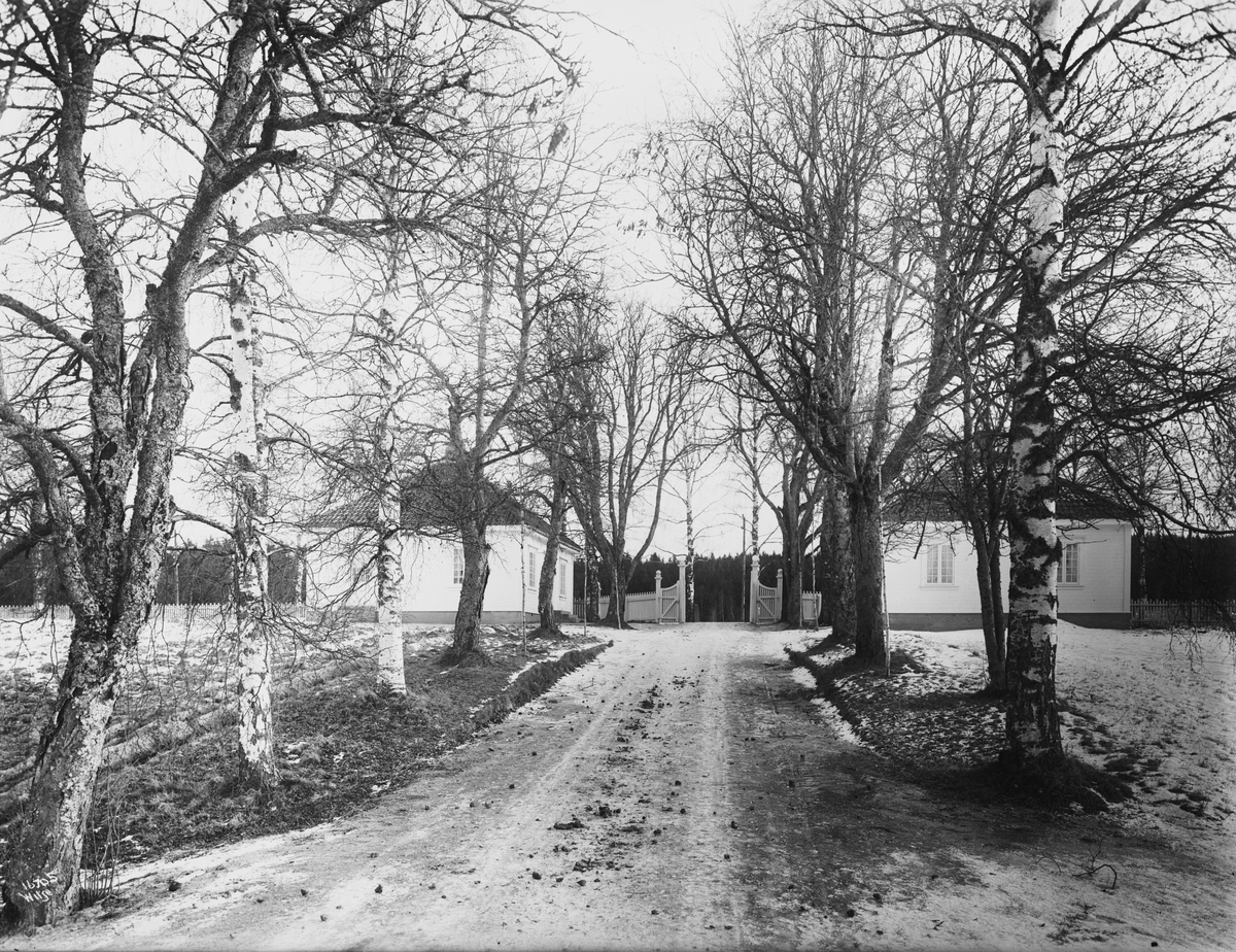Anders Beer Wilse, Konv: Gruset allé med portnerstuen