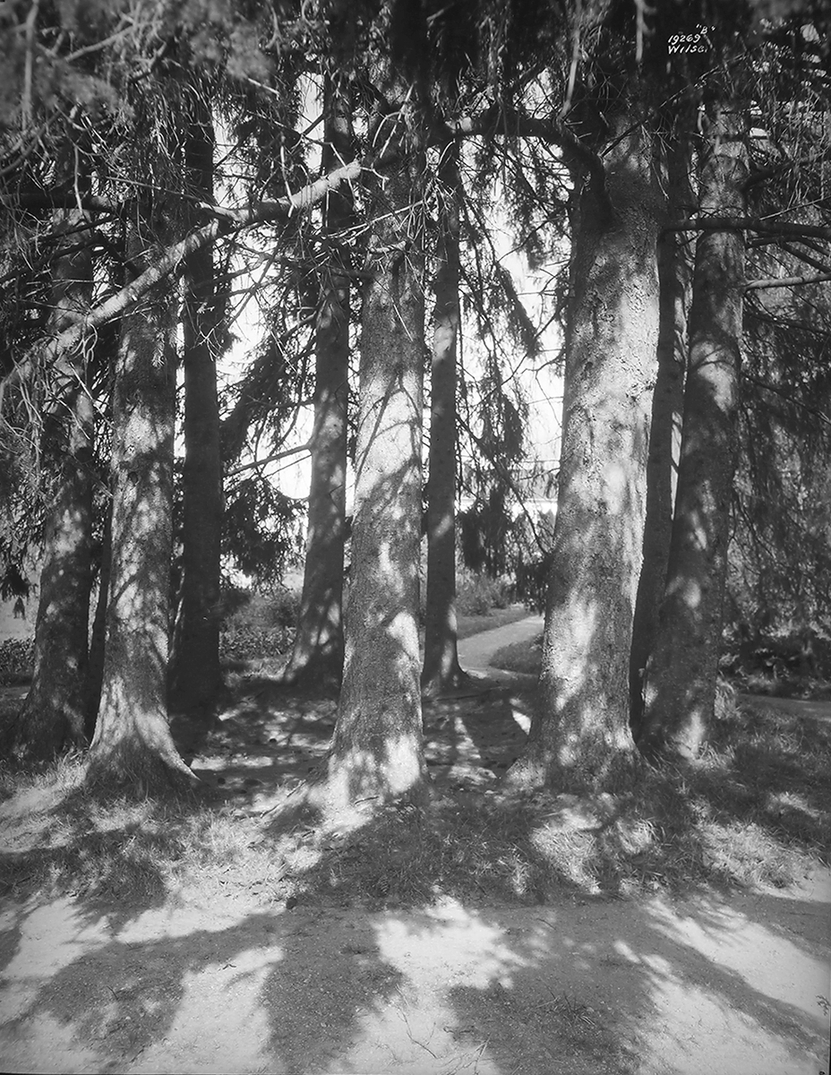 Anders Beer Wilse, Prot: Skamsgaard