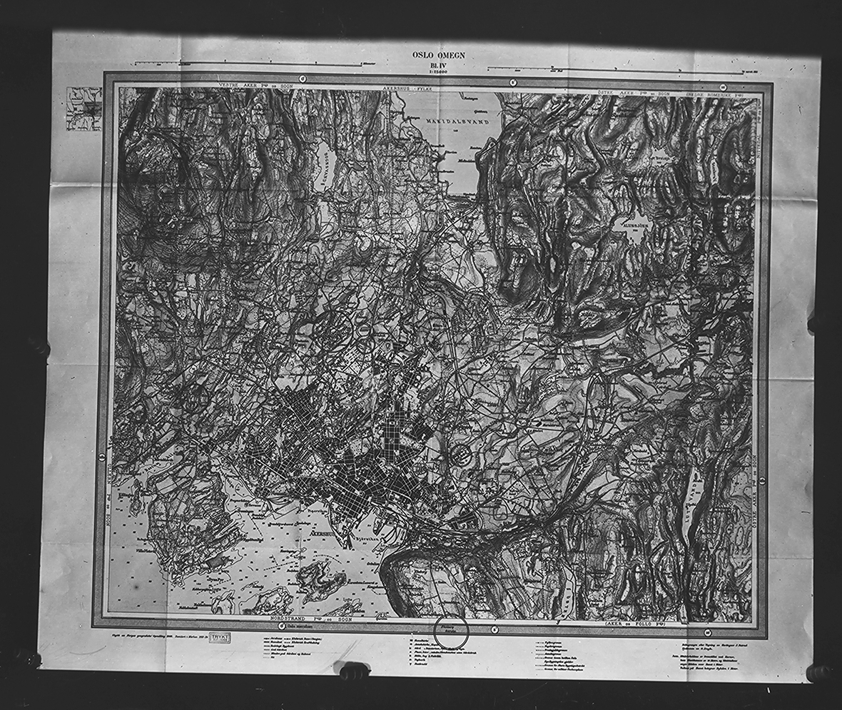 Anders Beer Wilse, Prot: Oslo omegn