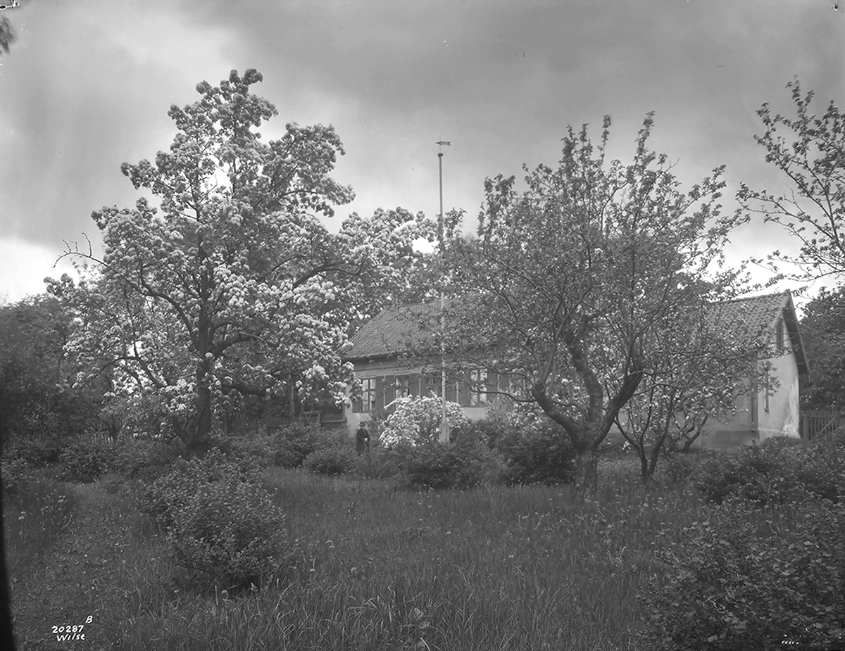 Anders Beer Wilse, Konv: Fru Large, Industrigt 31 Haven