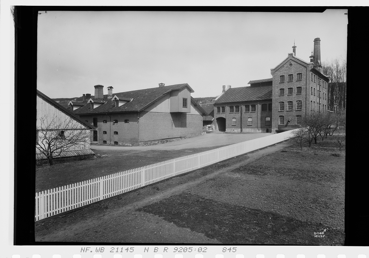 Anders Beer Wilse, Prot: Lillehammer Bryggeri