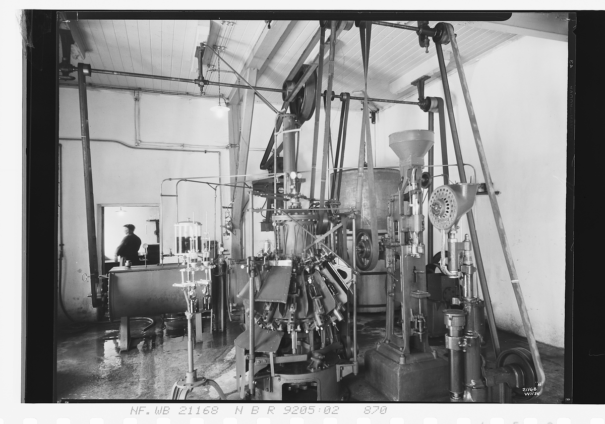 Anders Beer Wilse, Prot: Lillehammer Bryggeri
