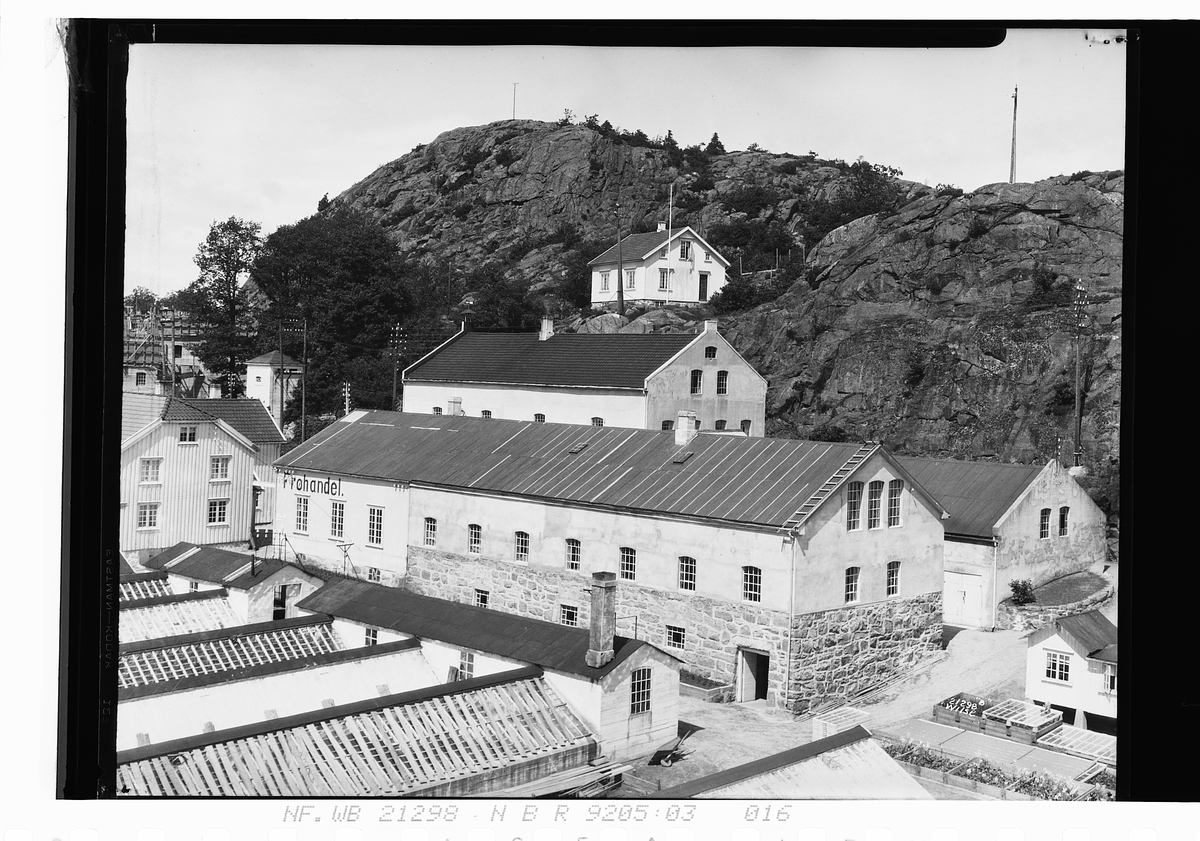 Anders Beer Wilse, Prot: Fuhrs Gartneri Grimstad