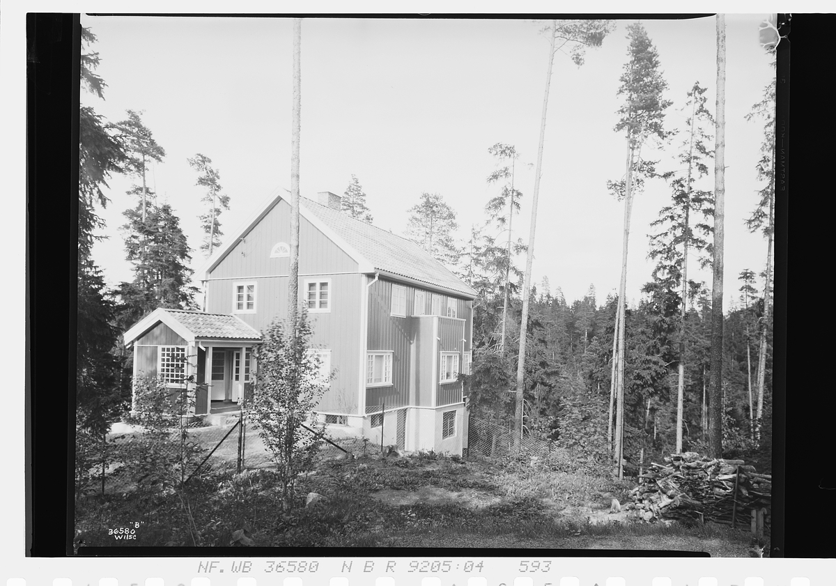 Anders Beer Wilse, Prot: Rainier