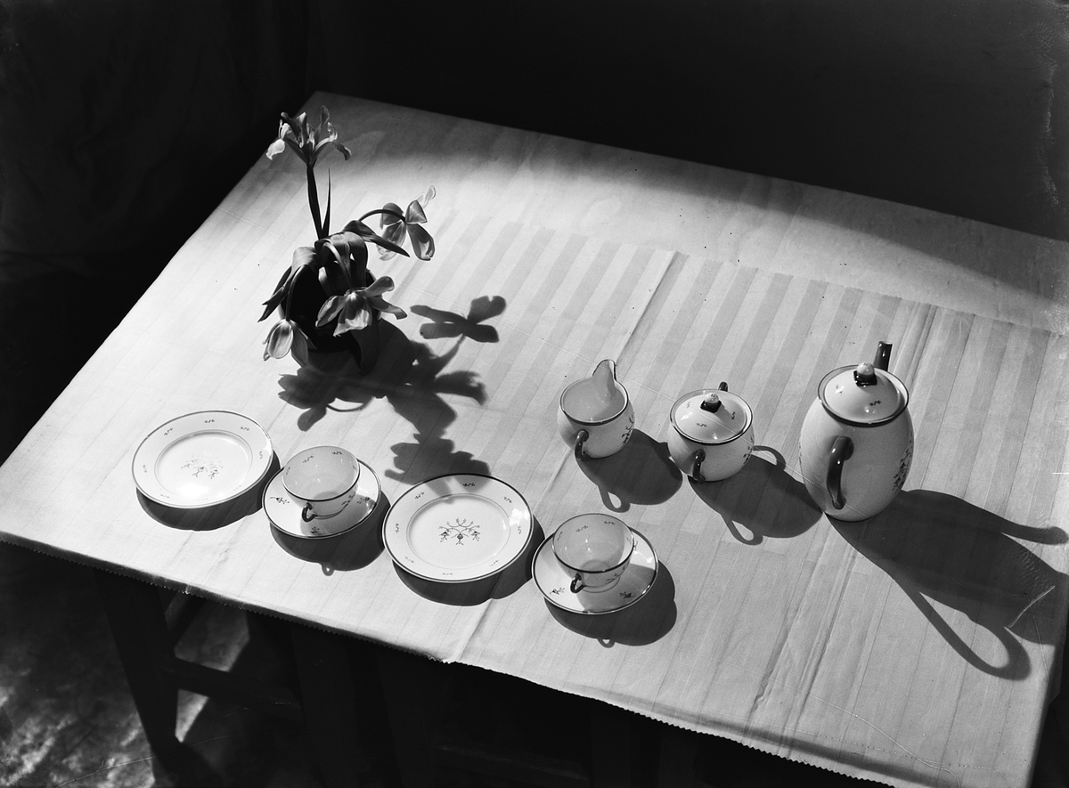 Anders Beer Wilse, Prot: Porsgrund Porselæn Kaffeservice