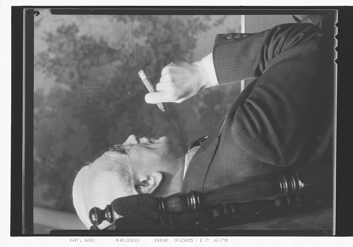 Anders Beer Wilse, Prot: Langaard Cigar Reklame