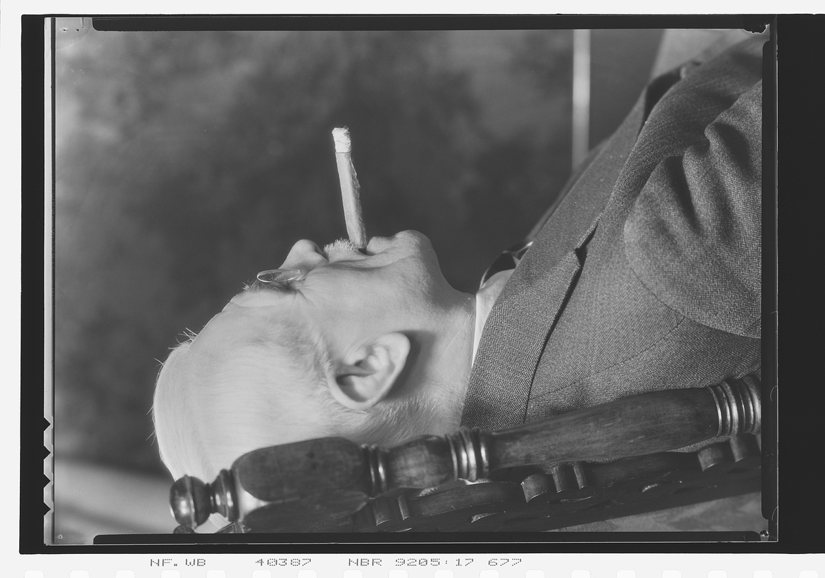 Anders Beer Wilse, Prot: Langaard Cigar Reklame