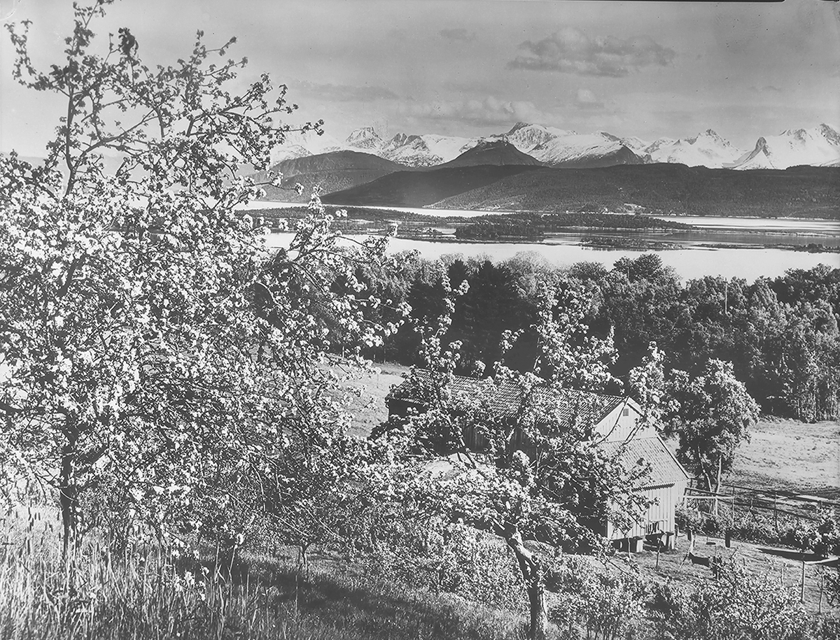 Anders Beer Wilse, Prot: Statsbanerne Romsdalsfjorden