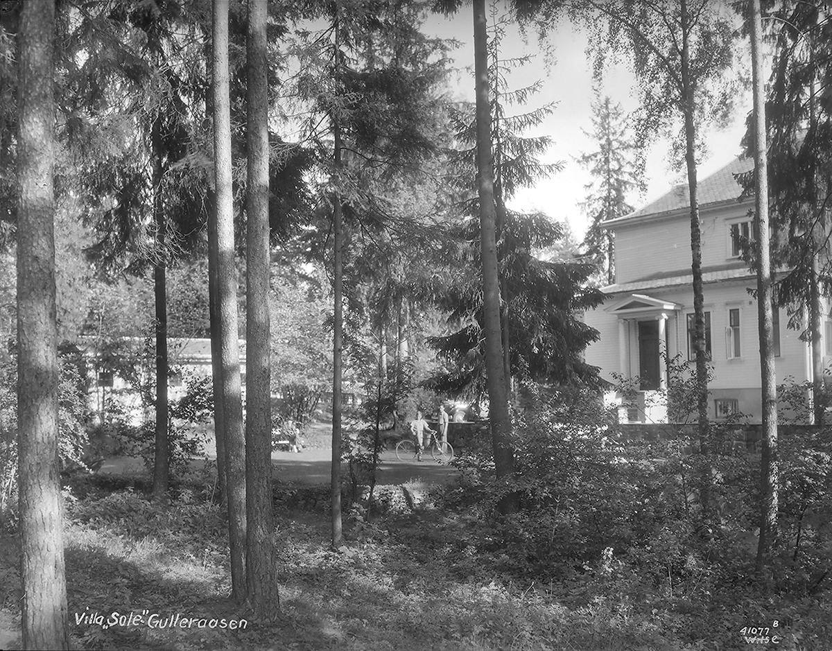 Anders Beer Wilse, Prot: Eitzen Villa