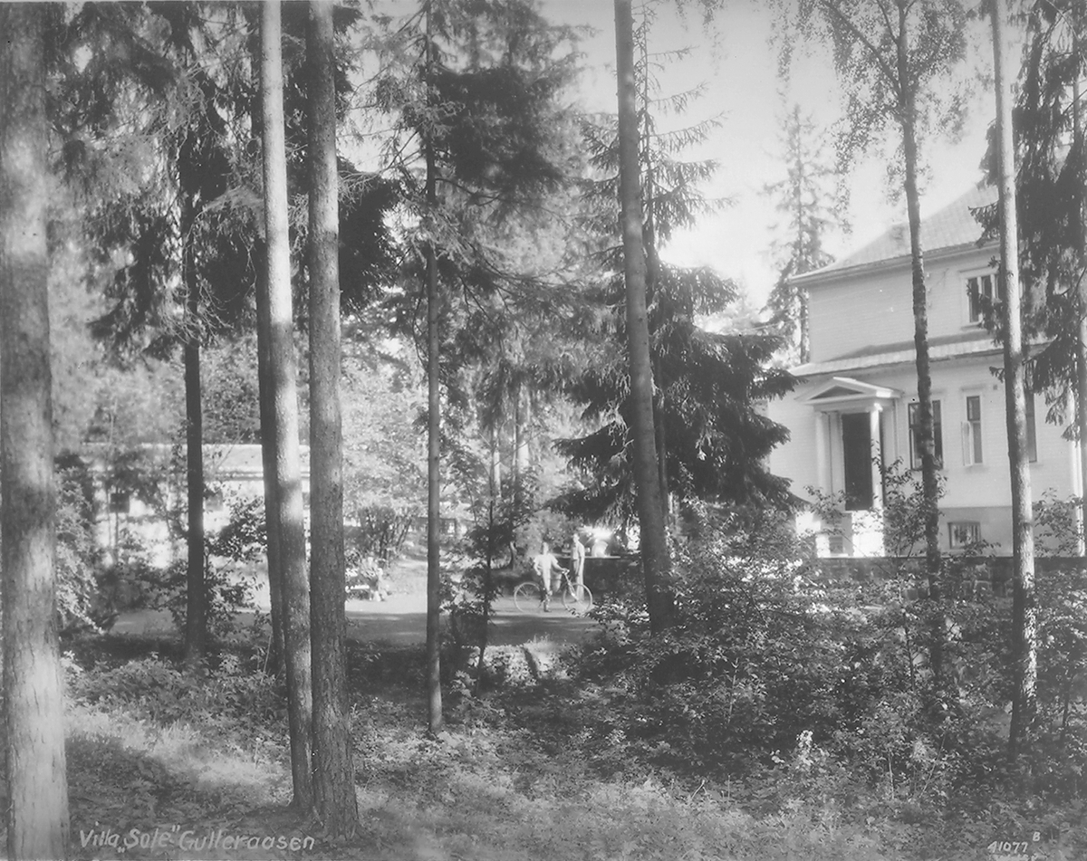 Anders Beer Wilse, Prot: Eitzen Villa