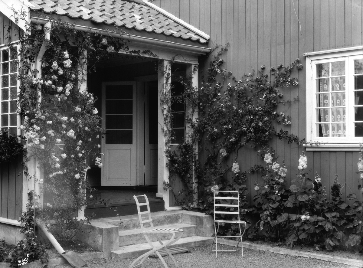 Anders Beer Wilse, Prot: Rainier Roserne