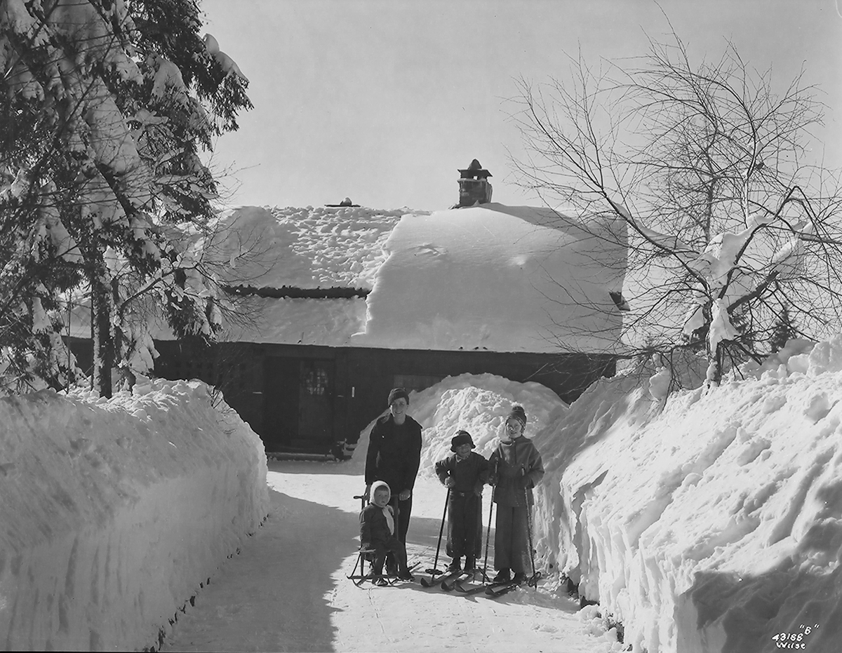Anders Beer Wilse, Prot: Werring - Voksenkollen