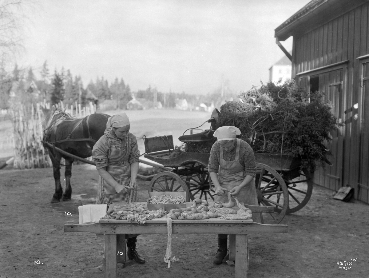 Anders Beer Wilse, Prot: Landbruksdep Stabek Husmors Slagt 10 15/11