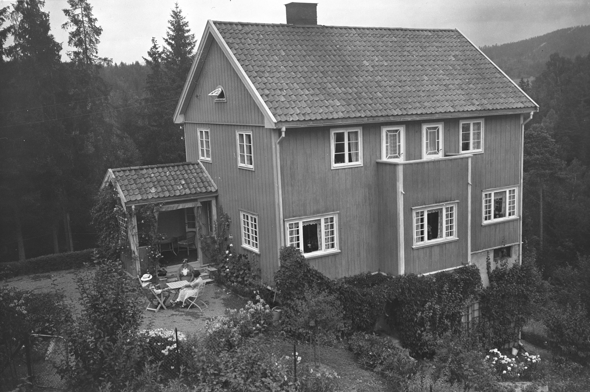 Anders Beer Wilse, Prot: Rainier