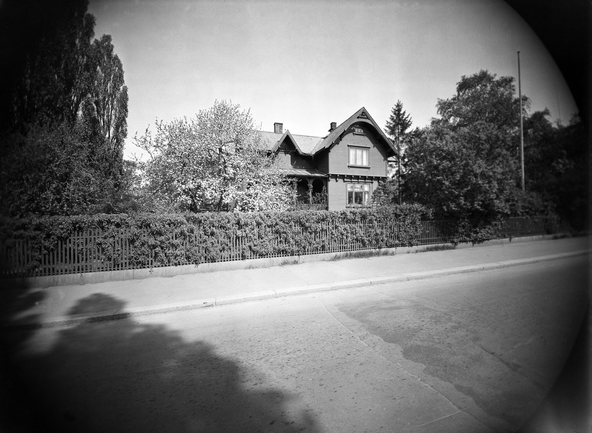Anders Beer Wilse, Prot: Krag frk villa
