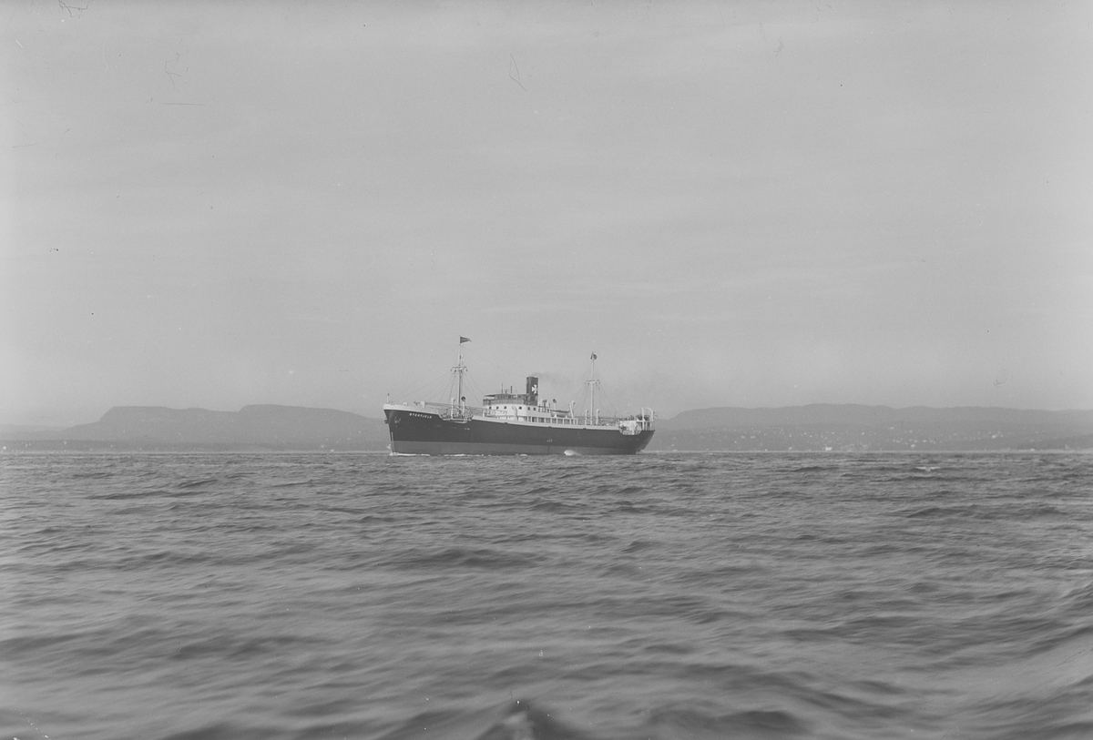 Anders Beer Wilse, Konv: Nyland