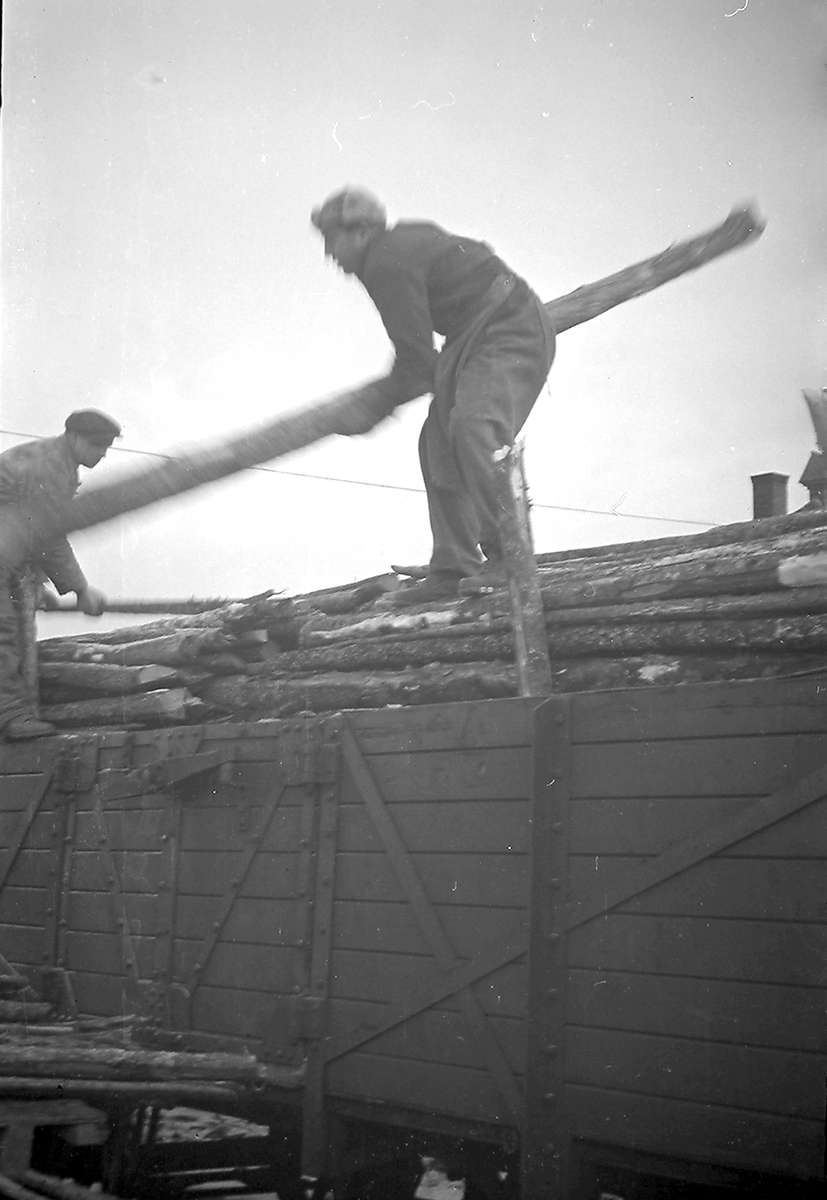 Anders Beer Wilse, Prot: protokoll finnes ikke Register: Statsbanene vedtransport Leica 28/1-47