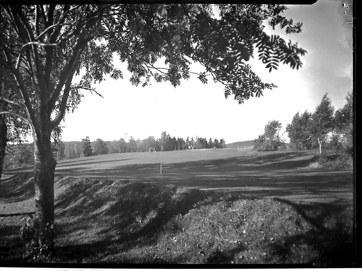 Anders Beer Wilse, Prot: protokoll finnes ikke Konv: Oslo golfklubb