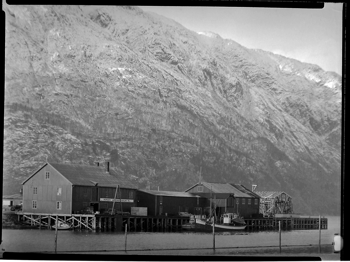 Anders Beer Wilse, Prot: protokoll finnes ikke Konv: Norges levende fisk lag Mosjøen