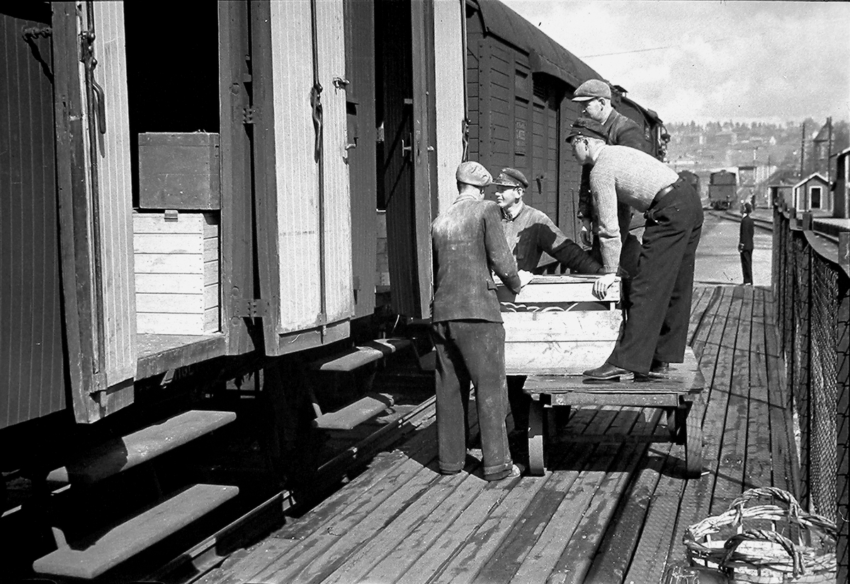 Anders Beer Wilse, Prot: protokoll finnes ikke Register: Statsbanene Leica 1948