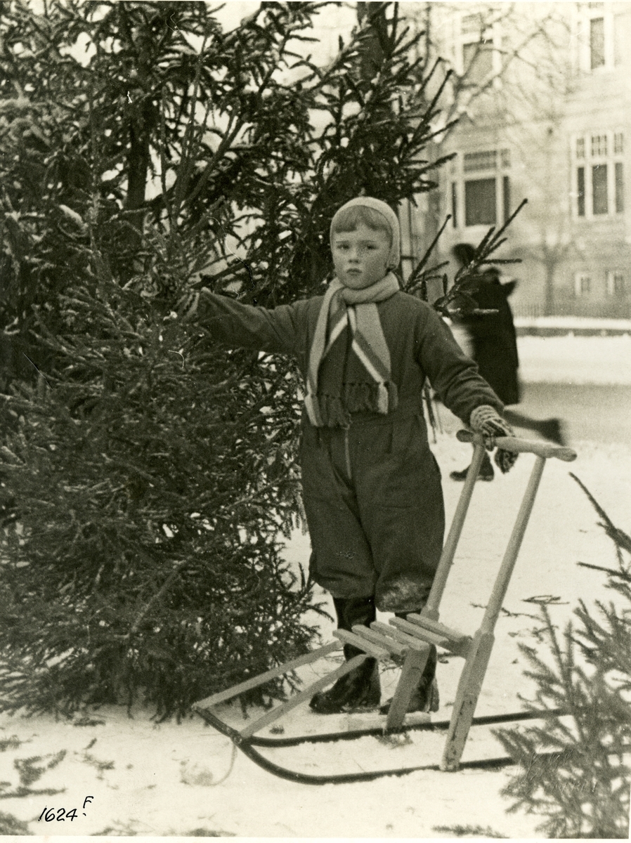 Anders Beer Wilse, Prot: Juletræet fragtes hjem