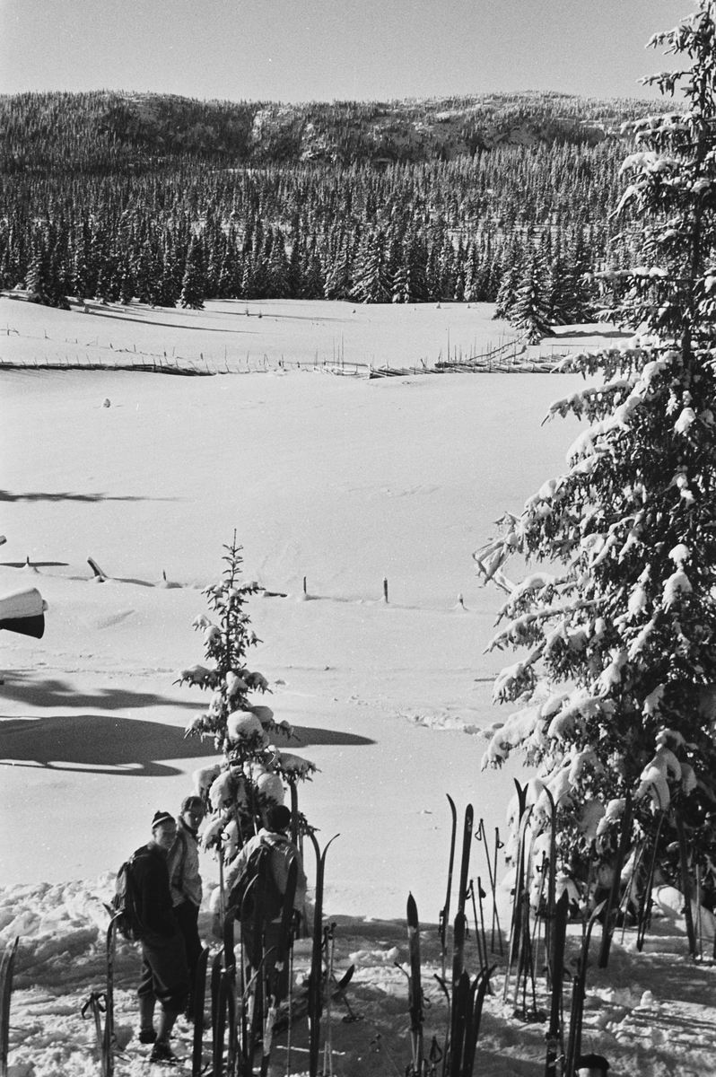Anders Beer Wilse, Prot: Nordmarka