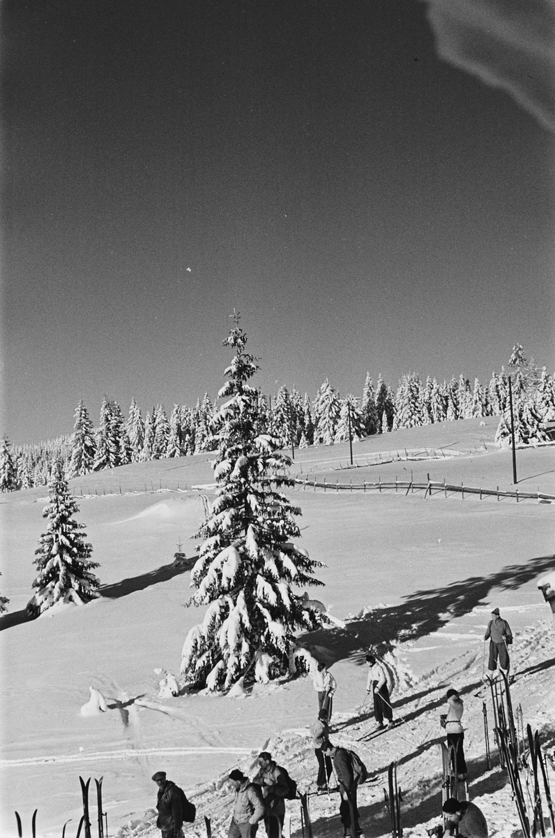 Anders Beer Wilse, Prot: Nordmarka