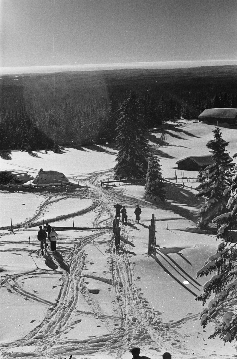 Anders Beer Wilse, Prot: Nordmarka