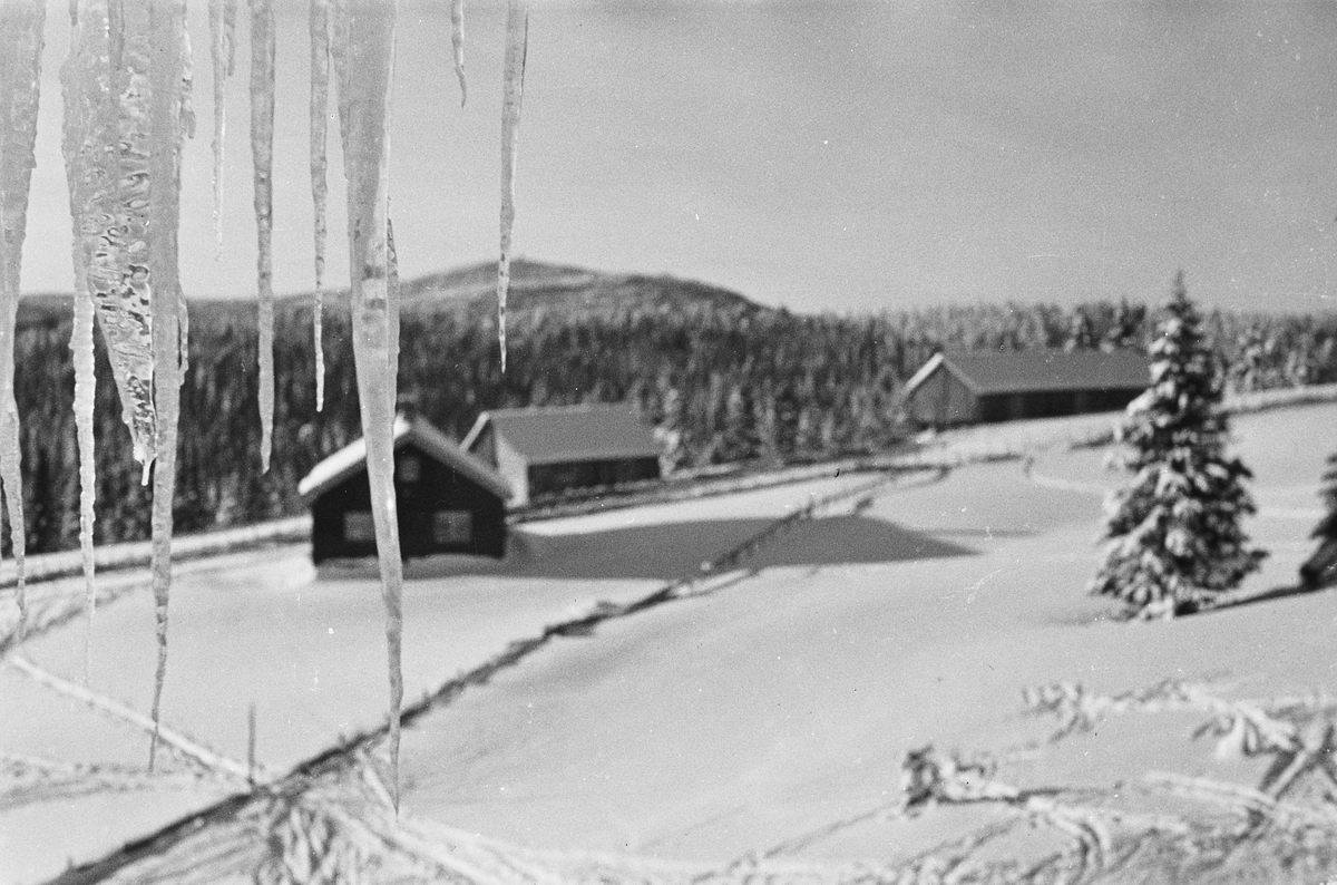 Anders Beer Wilse, Prot: Nordmarka