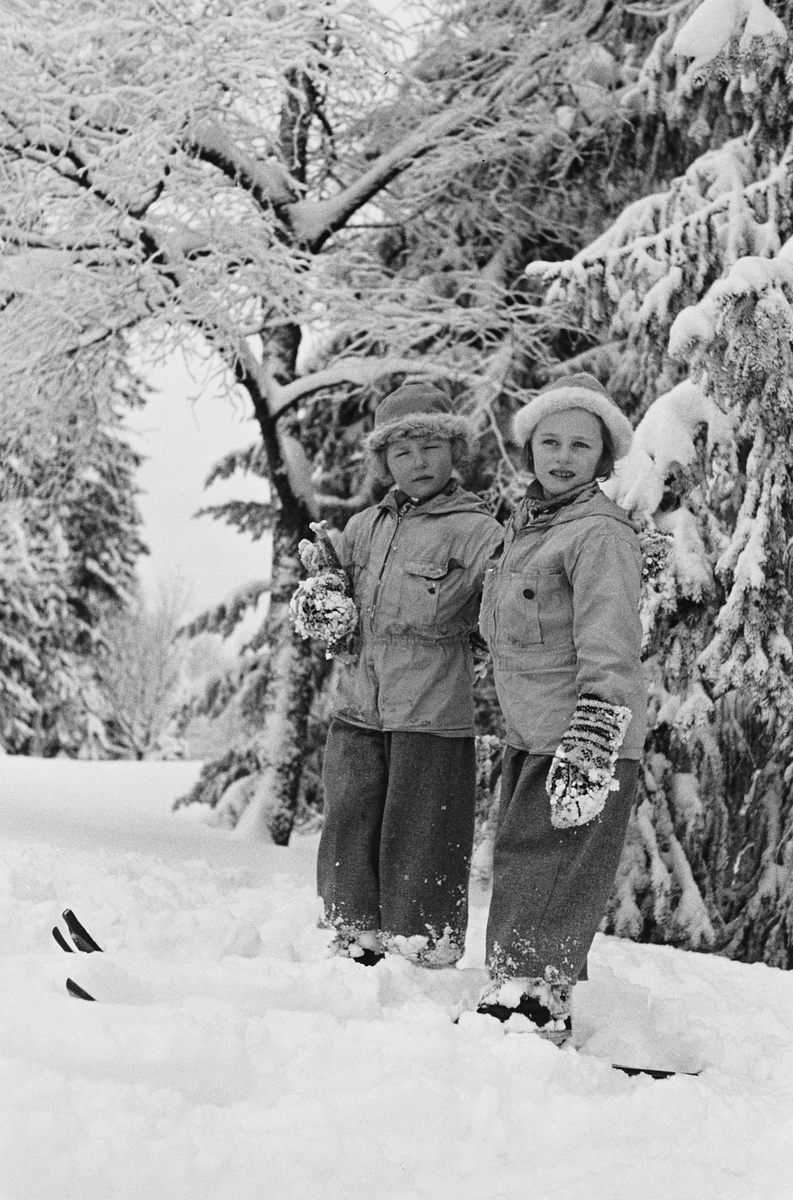 Anders Beer Wilse, Prot: Prinsessene