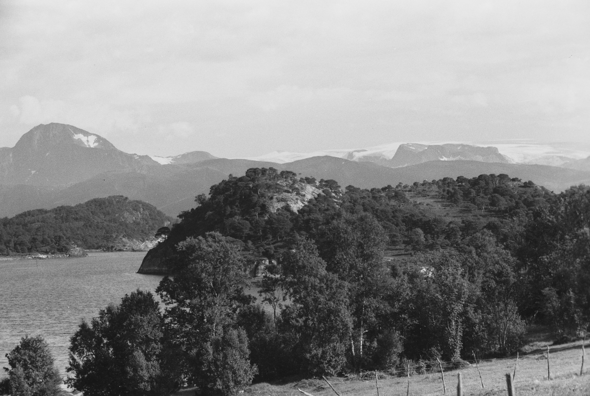 Anders Beer Wilse, Prot: Grönöy Svartisen Panorama 3B