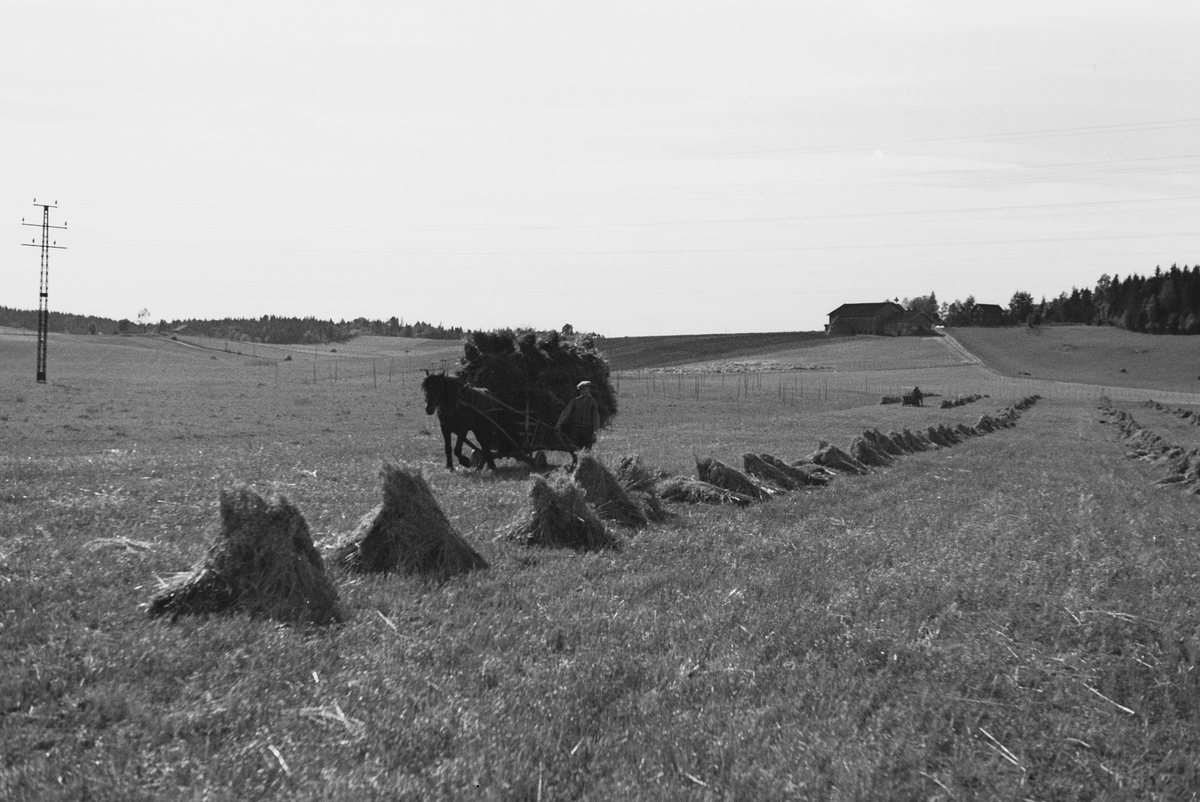 Anders Beer Wilse, Prot: Kornet i stak