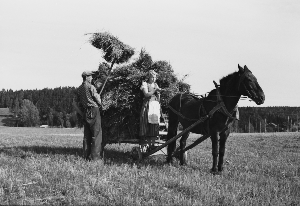 Anders Beer Wilse, Prot: Kornet Kjöres inn
