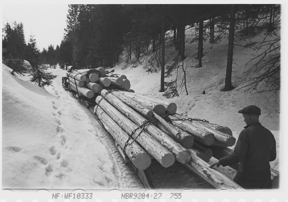 Anders Beer Wilse, Prot: Tömmertransport