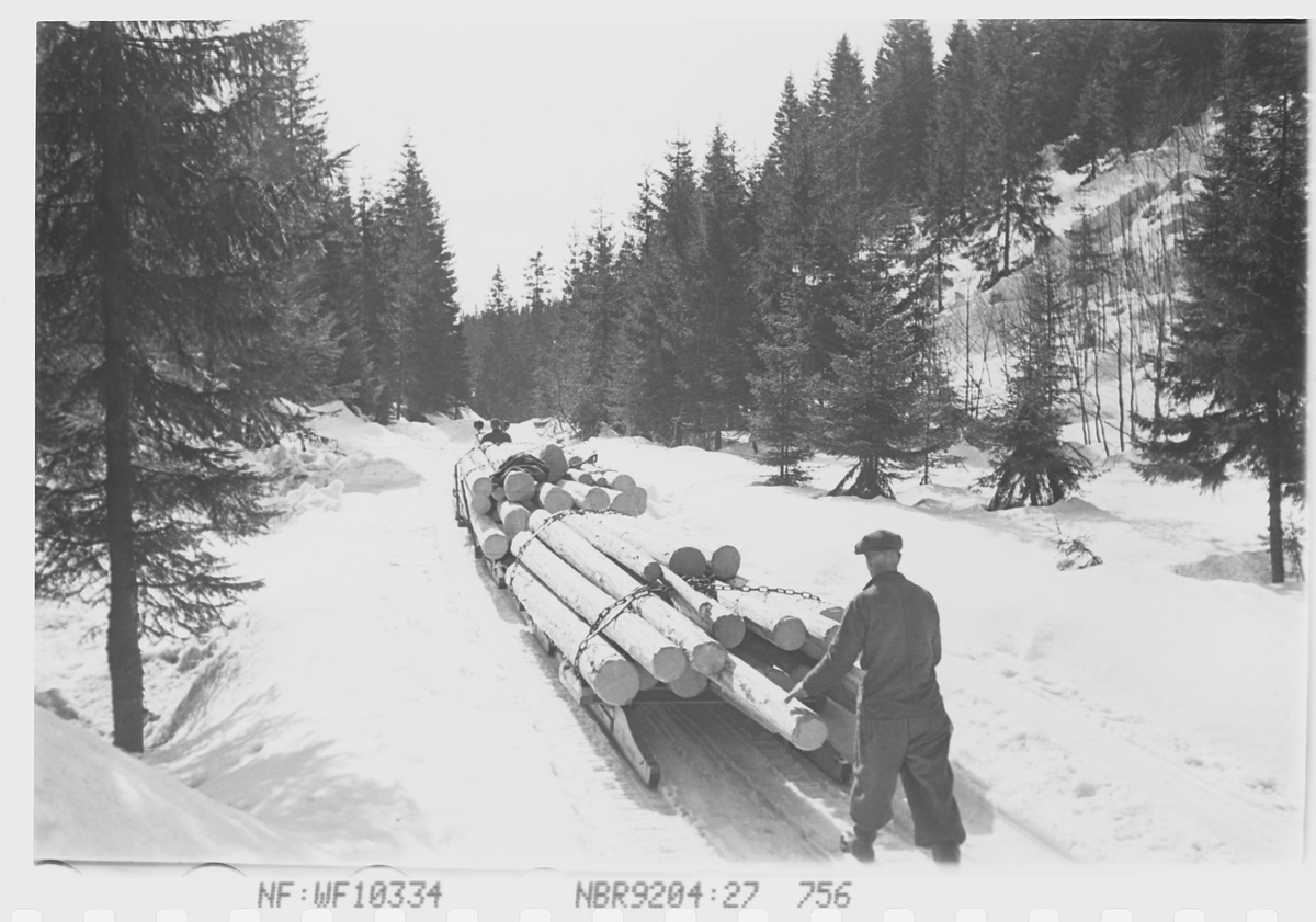 Anders Beer Wilse, Prot: Tömmertransport