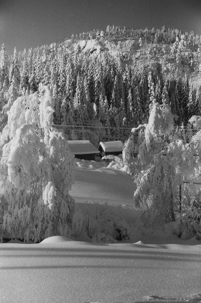Anders Beer Wilse, Prot: Vinter - Nordmarka